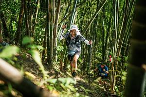 BIB: 
                            <button type="button" onclick="openModal(27925486)" class="btn btn-primary btn-sm float-right btn-popup" data-toggle="modal" data-target=".modal-high-quality">
                        <i class="fas fa-shopping-cart"></i> Add to Cart
                    </button>
                                            <button type="button" onclick="isThisMe(27925486, true)" class="btn btn-success btn-sm float-right btn-popup btn-isme hidden" data-toggle="tooltip" data-placement="bottom" title="นี่คือรูปของคุณใช่ไหม คลิกที่นี่เพื่อเอาเข้าอัลบั้ม">
                        <i class="fas fa-plus"></i> Add to album
                    </button>
                    <button type="button" onclick="isThisMe(27925486, false)" class="btn btn-warning btn-sm float-right btn-popup btn-isnotme hidden">
                        <i class="fas fa-ban"></i> Remove from album
                    </button>