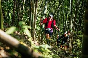 BIB: 
                            <button type="button" onclick="openModal(27925391)" class="btn btn-primary btn-sm float-right btn-popup" data-toggle="modal" data-target=".modal-high-quality">
                        <i class="fas fa-shopping-cart"></i> Add to Cart
                    </button>
                                            <button type="button" onclick="isThisMe(27925391, true)" class="btn btn-success btn-sm float-right btn-popup btn-isme hidden" data-toggle="tooltip" data-placement="bottom" title="นี่คือรูปของคุณใช่ไหม คลิกที่นี่เพื่อเอาเข้าอัลบั้ม">
                        <i class="fas fa-plus"></i> Add to album
                    </button>
                    <button type="button" onclick="isThisMe(27925391, false)" class="btn btn-warning btn-sm float-right btn-popup btn-isnotme hidden">
                        <i class="fas fa-ban"></i> Remove from album
                    </button>