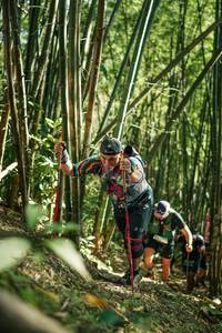 BIB: 
                            <button type="button" onclick="openModal(27923359)" class="btn btn-primary btn-sm float-right btn-popup" data-toggle="modal" data-target=".modal-high-quality">
                        <i class="fas fa-shopping-cart"></i> Add to Cart
                    </button>
                                            <button type="button" onclick="isThisMe(27923359, true)" class="btn btn-success btn-sm float-right btn-popup btn-isme hidden" data-toggle="tooltip" data-placement="bottom" title="นี่คือรูปของคุณใช่ไหม คลิกที่นี่เพื่อเอาเข้าอัลบั้ม">
                        <i class="fas fa-plus"></i> Add to album
                    </button>
                    <button type="button" onclick="isThisMe(27923359, false)" class="btn btn-warning btn-sm float-right btn-popup btn-isnotme hidden">
                        <i class="fas fa-ban"></i> Remove from album
                    </button>