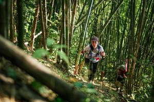 BIB: 
                            <button type="button" onclick="openModal(27923521)" class="btn btn-primary btn-sm float-right btn-popup" data-toggle="modal" data-target=".modal-high-quality">
                        <i class="fas fa-shopping-cart"></i> Add to Cart
                    </button>
                                            <button type="button" onclick="isThisMe(27923521, true)" class="btn btn-success btn-sm float-right btn-popup btn-isme hidden" data-toggle="tooltip" data-placement="bottom" title="นี่คือรูปของคุณใช่ไหม คลิกที่นี่เพื่อเอาเข้าอัลบั้ม">
                        <i class="fas fa-plus"></i> Add to album
                    </button>
                    <button type="button" onclick="isThisMe(27923521, false)" class="btn btn-warning btn-sm float-right btn-popup btn-isnotme hidden">
                        <i class="fas fa-ban"></i> Remove from album
                    </button>