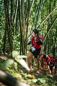 BIB: 
                            <button type="button" onclick="openModal(27925113)" class="btn btn-primary btn-sm float-right btn-popup" data-toggle="modal" data-target=".modal-high-quality">
                        <i class="fas fa-shopping-cart"></i> Add to Cart
                    </button>
                                            <button type="button" onclick="isThisMe(27925113, true)" class="btn btn-success btn-sm float-right btn-popup btn-isme hidden" data-toggle="tooltip" data-placement="bottom" title="นี่คือรูปของคุณใช่ไหม คลิกที่นี่เพื่อเอาเข้าอัลบั้ม">
                        <i class="fas fa-plus"></i> Add to album
                    </button>
                    <button type="button" onclick="isThisMe(27925113, false)" class="btn btn-warning btn-sm float-right btn-popup btn-isnotme hidden">
                        <i class="fas fa-ban"></i> Remove from album
                    </button>