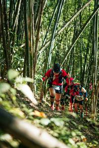 BIB: 
                            <button type="button" onclick="openModal(27925118)" class="btn btn-primary btn-sm float-right btn-popup" data-toggle="modal" data-target=".modal-high-quality">
                        <i class="fas fa-shopping-cart"></i> Add to Cart
                    </button>
                                            <button type="button" onclick="isThisMe(27925118, true)" class="btn btn-success btn-sm float-right btn-popup btn-isme hidden" data-toggle="tooltip" data-placement="bottom" title="นี่คือรูปของคุณใช่ไหม คลิกที่นี่เพื่อเอาเข้าอัลบั้ม">
                        <i class="fas fa-plus"></i> Add to album
                    </button>
                    <button type="button" onclick="isThisMe(27925118, false)" class="btn btn-warning btn-sm float-right btn-popup btn-isnotme hidden">
                        <i class="fas fa-ban"></i> Remove from album
                    </button>