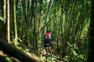 BIB: 
                            <button type="button" onclick="openModal(27926011)" class="btn btn-primary btn-sm float-right btn-popup" data-toggle="modal" data-target=".modal-high-quality">
                        <i class="fas fa-shopping-cart"></i> Add to Cart
                    </button>
                                            <button type="button" onclick="isThisMe(27926011, true)" class="btn btn-success btn-sm float-right btn-popup btn-isme hidden" data-toggle="tooltip" data-placement="bottom" title="นี่คือรูปของคุณใช่ไหม คลิกที่นี่เพื่อเอาเข้าอัลบั้ม">
                        <i class="fas fa-plus"></i> Add to album
                    </button>
                    <button type="button" onclick="isThisMe(27926011, false)" class="btn btn-warning btn-sm float-right btn-popup btn-isnotme hidden">
                        <i class="fas fa-ban"></i> Remove from album
                    </button>