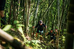 BIB: 
                            <button type="button" onclick="openModal(27925403)" class="btn btn-primary btn-sm float-right btn-popup" data-toggle="modal" data-target=".modal-high-quality">
                        <i class="fas fa-shopping-cart"></i> Add to Cart
                    </button>
                                            <button type="button" onclick="isThisMe(27925403, true)" class="btn btn-success btn-sm float-right btn-popup btn-isme hidden" data-toggle="tooltip" data-placement="bottom" title="นี่คือรูปของคุณใช่ไหม คลิกที่นี่เพื่อเอาเข้าอัลบั้ม">
                        <i class="fas fa-plus"></i> Add to album
                    </button>
                    <button type="button" onclick="isThisMe(27925403, false)" class="btn btn-warning btn-sm float-right btn-popup btn-isnotme hidden">
                        <i class="fas fa-ban"></i> Remove from album
                    </button>