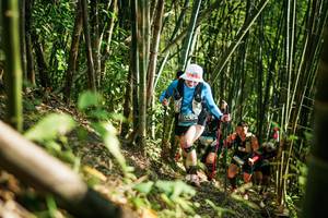 BIB: 
                            <button type="button" onclick="openModal(27925532)" class="btn btn-primary btn-sm float-right btn-popup" data-toggle="modal" data-target=".modal-high-quality">
                        <i class="fas fa-shopping-cart"></i> Add to Cart
                    </button>
                                            <button type="button" onclick="isThisMe(27925532, true)" class="btn btn-success btn-sm float-right btn-popup btn-isme hidden" data-toggle="tooltip" data-placement="bottom" title="นี่คือรูปของคุณใช่ไหม คลิกที่นี่เพื่อเอาเข้าอัลบั้ม">
                        <i class="fas fa-plus"></i> Add to album
                    </button>
                    <button type="button" onclick="isThisMe(27925532, false)" class="btn btn-warning btn-sm float-right btn-popup btn-isnotme hidden">
                        <i class="fas fa-ban"></i> Remove from album
                    </button>