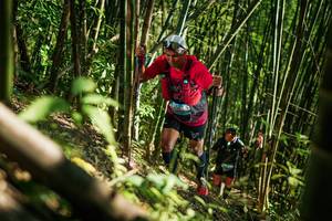 BIB: 
                            <button type="button" onclick="openModal(27925376)" class="btn btn-primary btn-sm float-right btn-popup" data-toggle="modal" data-target=".modal-high-quality">
                        <i class="fas fa-shopping-cart"></i> Add to Cart
                    </button>
                                            <button type="button" onclick="isThisMe(27925376, true)" class="btn btn-success btn-sm float-right btn-popup btn-isme hidden" data-toggle="tooltip" data-placement="bottom" title="นี่คือรูปของคุณใช่ไหม คลิกที่นี่เพื่อเอาเข้าอัลบั้ม">
                        <i class="fas fa-plus"></i> Add to album
                    </button>
                    <button type="button" onclick="isThisMe(27925376, false)" class="btn btn-warning btn-sm float-right btn-popup btn-isnotme hidden">
                        <i class="fas fa-ban"></i> Remove from album
                    </button>