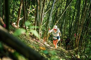 BIB: 
                            <button type="button" onclick="openModal(27924105)" class="btn btn-primary btn-sm float-right btn-popup" data-toggle="modal" data-target=".modal-high-quality">
                        <i class="fas fa-shopping-cart"></i> Add to Cart
                    </button>
                                            <button type="button" onclick="isThisMe(27924105, true)" class="btn btn-success btn-sm float-right btn-popup btn-isme hidden" data-toggle="tooltip" data-placement="bottom" title="นี่คือรูปของคุณใช่ไหม คลิกที่นี่เพื่อเอาเข้าอัลบั้ม">
                        <i class="fas fa-plus"></i> Add to album
                    </button>
                    <button type="button" onclick="isThisMe(27924105, false)" class="btn btn-warning btn-sm float-right btn-popup btn-isnotme hidden">
                        <i class="fas fa-ban"></i> Remove from album
                    </button>