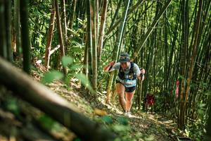 BIB: 
                            <button type="button" onclick="openModal(27923563)" class="btn btn-primary btn-sm float-right btn-popup" data-toggle="modal" data-target=".modal-high-quality">
                        <i class="fas fa-shopping-cart"></i> Add to Cart
                    </button>
                                            <button type="button" onclick="isThisMe(27923563, true)" class="btn btn-success btn-sm float-right btn-popup btn-isme hidden" data-toggle="tooltip" data-placement="bottom" title="นี่คือรูปของคุณใช่ไหม คลิกที่นี่เพื่อเอาเข้าอัลบั้ม">
                        <i class="fas fa-plus"></i> Add to album
                    </button>
                    <button type="button" onclick="isThisMe(27923563, false)" class="btn btn-warning btn-sm float-right btn-popup btn-isnotme hidden">
                        <i class="fas fa-ban"></i> Remove from album
                    </button>