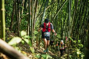 BIB: 
                            <button type="button" onclick="openModal(27925680)" class="btn btn-primary btn-sm float-right btn-popup" data-toggle="modal" data-target=".modal-high-quality">
                        <i class="fas fa-shopping-cart"></i> Add to Cart
                    </button>
                                            <button type="button" onclick="isThisMe(27925680, true)" class="btn btn-success btn-sm float-right btn-popup btn-isme hidden" data-toggle="tooltip" data-placement="bottom" title="นี่คือรูปของคุณใช่ไหม คลิกที่นี่เพื่อเอาเข้าอัลบั้ม">
                        <i class="fas fa-plus"></i> Add to album
                    </button>
                    <button type="button" onclick="isThisMe(27925680, false)" class="btn btn-warning btn-sm float-right btn-popup btn-isnotme hidden">
                        <i class="fas fa-ban"></i> Remove from album
                    </button>