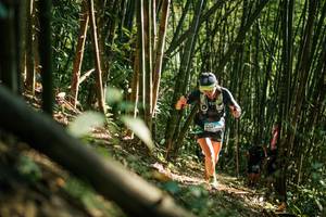 BIB: 
                            <button type="button" onclick="openModal(27922329)" class="btn btn-primary btn-sm float-right btn-popup" data-toggle="modal" data-target=".modal-high-quality">
                        <i class="fas fa-shopping-cart"></i> Add to Cart
                    </button>
                                            <button type="button" onclick="isThisMe(27922329, true)" class="btn btn-success btn-sm float-right btn-popup btn-isme hidden" data-toggle="tooltip" data-placement="bottom" title="นี่คือรูปของคุณใช่ไหม คลิกที่นี่เพื่อเอาเข้าอัลบั้ม">
                        <i class="fas fa-plus"></i> Add to album
                    </button>
                    <button type="button" onclick="isThisMe(27922329, false)" class="btn btn-warning btn-sm float-right btn-popup btn-isnotme hidden">
                        <i class="fas fa-ban"></i> Remove from album
                    </button>