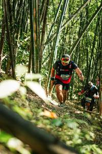 BIB: 
                            <button type="button" onclick="openModal(27924660)" class="btn btn-primary btn-sm float-right btn-popup" data-toggle="modal" data-target=".modal-high-quality">
                        <i class="fas fa-shopping-cart"></i> Add to Cart
                    </button>
                                            <button type="button" onclick="isThisMe(27924660, true)" class="btn btn-success btn-sm float-right btn-popup btn-isme hidden" data-toggle="tooltip" data-placement="bottom" title="นี่คือรูปของคุณใช่ไหม คลิกที่นี่เพื่อเอาเข้าอัลบั้ม">
                        <i class="fas fa-plus"></i> Add to album
                    </button>
                    <button type="button" onclick="isThisMe(27924660, false)" class="btn btn-warning btn-sm float-right btn-popup btn-isnotme hidden">
                        <i class="fas fa-ban"></i> Remove from album
                    </button>