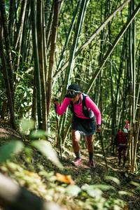 BIB: 
                            <button type="button" onclick="openModal(27925287)" class="btn btn-primary btn-sm float-right btn-popup" data-toggle="modal" data-target=".modal-high-quality">
                        <i class="fas fa-shopping-cart"></i> Add to Cart
                    </button>
                                            <button type="button" onclick="isThisMe(27925287, true)" class="btn btn-success btn-sm float-right btn-popup btn-isme hidden" data-toggle="tooltip" data-placement="bottom" title="นี่คือรูปของคุณใช่ไหม คลิกที่นี่เพื่อเอาเข้าอัลบั้ม">
                        <i class="fas fa-plus"></i> Add to album
                    </button>
                    <button type="button" onclick="isThisMe(27925287, false)" class="btn btn-warning btn-sm float-right btn-popup btn-isnotme hidden">
                        <i class="fas fa-ban"></i> Remove from album
                    </button>