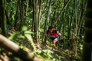 BIB: 
                            <button type="button" onclick="openModal(27925344)" class="btn btn-primary btn-sm float-right btn-popup" data-toggle="modal" data-target=".modal-high-quality">
                        <i class="fas fa-shopping-cart"></i> Add to Cart
                    </button>
                                            <button type="button" onclick="isThisMe(27925344, true)" class="btn btn-success btn-sm float-right btn-popup btn-isme hidden" data-toggle="tooltip" data-placement="bottom" title="นี่คือรูปของคุณใช่ไหม คลิกที่นี่เพื่อเอาเข้าอัลบั้ม">
                        <i class="fas fa-plus"></i> Add to album
                    </button>
                    <button type="button" onclick="isThisMe(27925344, false)" class="btn btn-warning btn-sm float-right btn-popup btn-isnotme hidden">
                        <i class="fas fa-ban"></i> Remove from album
                    </button>