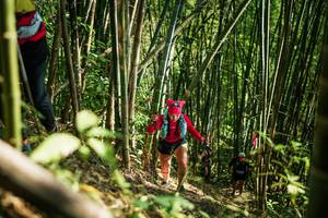 BIB: 
                            <button type="button" onclick="openModal(27925707)" class="btn btn-primary btn-sm float-right btn-popup" data-toggle="modal" data-target=".modal-high-quality">
                        <i class="fas fa-shopping-cart"></i> Add to Cart
                    </button>
                                            <button type="button" onclick="isThisMe(27925707, true)" class="btn btn-success btn-sm float-right btn-popup btn-isme hidden" data-toggle="tooltip" data-placement="bottom" title="นี่คือรูปของคุณใช่ไหม คลิกที่นี่เพื่อเอาเข้าอัลบั้ม">
                        <i class="fas fa-plus"></i> Add to album
                    </button>
                    <button type="button" onclick="isThisMe(27925707, false)" class="btn btn-warning btn-sm float-right btn-popup btn-isnotme hidden">
                        <i class="fas fa-ban"></i> Remove from album
                    </button>