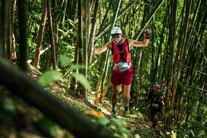 BIB: 
                            <button type="button" onclick="openModal(27923877)" class="btn btn-primary btn-sm float-right btn-popup" data-toggle="modal" data-target=".modal-high-quality">
                        <i class="fas fa-shopping-cart"></i> Add to Cart
                    </button>
                                            <button type="button" onclick="isThisMe(27923877, true)" class="btn btn-success btn-sm float-right btn-popup btn-isme hidden" data-toggle="tooltip" data-placement="bottom" title="นี่คือรูปของคุณใช่ไหม คลิกที่นี่เพื่อเอาเข้าอัลบั้ม">
                        <i class="fas fa-plus"></i> Add to album
                    </button>
                    <button type="button" onclick="isThisMe(27923877, false)" class="btn btn-warning btn-sm float-right btn-popup btn-isnotme hidden">
                        <i class="fas fa-ban"></i> Remove from album
                    </button>