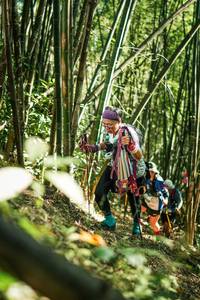 BIB: 
                            <button type="button" onclick="openModal(27924594)" class="btn btn-primary btn-sm float-right btn-popup" data-toggle="modal" data-target=".modal-high-quality">
                        <i class="fas fa-shopping-cart"></i> Add to Cart
                    </button>
                                            <button type="button" onclick="isThisMe(27924594, true)" class="btn btn-success btn-sm float-right btn-popup btn-isme hidden" data-toggle="tooltip" data-placement="bottom" title="นี่คือรูปของคุณใช่ไหม คลิกที่นี่เพื่อเอาเข้าอัลบั้ม">
                        <i class="fas fa-plus"></i> Add to album
                    </button>
                    <button type="button" onclick="isThisMe(27924594, false)" class="btn btn-warning btn-sm float-right btn-popup btn-isnotme hidden">
                        <i class="fas fa-ban"></i> Remove from album
                    </button>