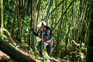 BIB: 
                            <button type="button" onclick="openModal(27926032)" class="btn btn-primary btn-sm float-right btn-popup" data-toggle="modal" data-target=".modal-high-quality">
                        <i class="fas fa-shopping-cart"></i> Add to Cart
                    </button>
                                            <button type="button" onclick="isThisMe(27926032, true)" class="btn btn-success btn-sm float-right btn-popup btn-isme hidden" data-toggle="tooltip" data-placement="bottom" title="นี่คือรูปของคุณใช่ไหม คลิกที่นี่เพื่อเอาเข้าอัลบั้ม">
                        <i class="fas fa-plus"></i> Add to album
                    </button>
                    <button type="button" onclick="isThisMe(27926032, false)" class="btn btn-warning btn-sm float-right btn-popup btn-isnotme hidden">
                        <i class="fas fa-ban"></i> Remove from album
                    </button>