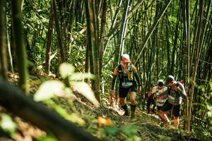 BIB: 
                            <button type="button" onclick="openModal(27924705)" class="btn btn-primary btn-sm float-right btn-popup" data-toggle="modal" data-target=".modal-high-quality">
                        <i class="fas fa-shopping-cart"></i> Add to Cart
                    </button>
                                            <button type="button" onclick="isThisMe(27924705, true)" class="btn btn-success btn-sm float-right btn-popup btn-isme hidden" data-toggle="tooltip" data-placement="bottom" title="นี่คือรูปของคุณใช่ไหม คลิกที่นี่เพื่อเอาเข้าอัลบั้ม">
                        <i class="fas fa-plus"></i> Add to album
                    </button>
                    <button type="button" onclick="isThisMe(27924705, false)" class="btn btn-warning btn-sm float-right btn-popup btn-isnotme hidden">
                        <i class="fas fa-ban"></i> Remove from album
                    </button>