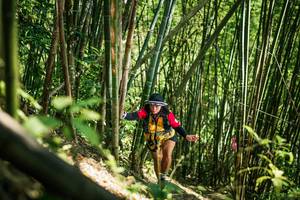 BIB: 
                            <button type="button" onclick="openModal(27926080)" class="btn btn-primary btn-sm float-right btn-popup" data-toggle="modal" data-target=".modal-high-quality">
                        <i class="fas fa-shopping-cart"></i> Add to Cart
                    </button>
                                            <button type="button" onclick="isThisMe(27926080, true)" class="btn btn-success btn-sm float-right btn-popup btn-isme hidden" data-toggle="tooltip" data-placement="bottom" title="นี่คือรูปของคุณใช่ไหม คลิกที่นี่เพื่อเอาเข้าอัลบั้ม">
                        <i class="fas fa-plus"></i> Add to album
                    </button>
                    <button type="button" onclick="isThisMe(27926080, false)" class="btn btn-warning btn-sm float-right btn-popup btn-isnotme hidden">
                        <i class="fas fa-ban"></i> Remove from album
                    </button>