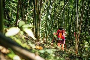 BIB: 
                            <button type="button" onclick="openModal(27924831)" class="btn btn-primary btn-sm float-right btn-popup" data-toggle="modal" data-target=".modal-high-quality">
                        <i class="fas fa-shopping-cart"></i> Add to Cart
                    </button>
                                            <button type="button" onclick="isThisMe(27924831, true)" class="btn btn-success btn-sm float-right btn-popup btn-isme hidden" data-toggle="tooltip" data-placement="bottom" title="นี่คือรูปของคุณใช่ไหม คลิกที่นี่เพื่อเอาเข้าอัลบั้ม">
                        <i class="fas fa-plus"></i> Add to album
                    </button>
                    <button type="button" onclick="isThisMe(27924831, false)" class="btn btn-warning btn-sm float-right btn-popup btn-isnotme hidden">
                        <i class="fas fa-ban"></i> Remove from album
                    </button>