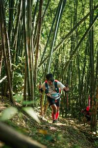 BIB: 
                            <button type="button" onclick="openModal(27923437)" class="btn btn-primary btn-sm float-right btn-popup" data-toggle="modal" data-target=".modal-high-quality">
                        <i class="fas fa-shopping-cart"></i> Add to Cart
                    </button>
                                            <button type="button" onclick="isThisMe(27923437, true)" class="btn btn-success btn-sm float-right btn-popup btn-isme hidden" data-toggle="tooltip" data-placement="bottom" title="นี่คือรูปของคุณใช่ไหม คลิกที่นี่เพื่อเอาเข้าอัลบั้ม">
                        <i class="fas fa-plus"></i> Add to album
                    </button>
                    <button type="button" onclick="isThisMe(27923437, false)" class="btn btn-warning btn-sm float-right btn-popup btn-isnotme hidden">
                        <i class="fas fa-ban"></i> Remove from album
                    </button>