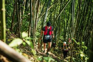 BIB: 
                            <button type="button" onclick="openModal(27925678)" class="btn btn-primary btn-sm float-right btn-popup" data-toggle="modal" data-target=".modal-high-quality">
                        <i class="fas fa-shopping-cart"></i> Add to Cart
                    </button>
                                            <button type="button" onclick="isThisMe(27925678, true)" class="btn btn-success btn-sm float-right btn-popup btn-isme hidden" data-toggle="tooltip" data-placement="bottom" title="นี่คือรูปของคุณใช่ไหม คลิกที่นี่เพื่อเอาเข้าอัลบั้ม">
                        <i class="fas fa-plus"></i> Add to album
                    </button>
                    <button type="button" onclick="isThisMe(27925678, false)" class="btn btn-warning btn-sm float-right btn-popup btn-isnotme hidden">
                        <i class="fas fa-ban"></i> Remove from album
                    </button>