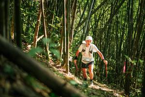 BIB: 
                            <button type="button" onclick="openModal(27922539)" class="btn btn-primary btn-sm float-right btn-popup" data-toggle="modal" data-target=".modal-high-quality">
                        <i class="fas fa-shopping-cart"></i> Add to Cart
                    </button>
                                            <button type="button" onclick="isThisMe(27922539, true)" class="btn btn-success btn-sm float-right btn-popup btn-isme hidden" data-toggle="tooltip" data-placement="bottom" title="นี่คือรูปของคุณใช่ไหม คลิกที่นี่เพื่อเอาเข้าอัลบั้ม">
                        <i class="fas fa-plus"></i> Add to album
                    </button>
                    <button type="button" onclick="isThisMe(27922539, false)" class="btn btn-warning btn-sm float-right btn-popup btn-isnotme hidden">
                        <i class="fas fa-ban"></i> Remove from album
                    </button>