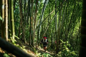 BIB: 
                            <button type="button" onclick="openModal(27926003)" class="btn btn-primary btn-sm float-right btn-popup" data-toggle="modal" data-target=".modal-high-quality">
                        <i class="fas fa-shopping-cart"></i> Add to Cart
                    </button>
                                            <button type="button" onclick="isThisMe(27926003, true)" class="btn btn-success btn-sm float-right btn-popup btn-isme hidden" data-toggle="tooltip" data-placement="bottom" title="นี่คือรูปของคุณใช่ไหม คลิกที่นี่เพื่อเอาเข้าอัลบั้ม">
                        <i class="fas fa-plus"></i> Add to album
                    </button>
                    <button type="button" onclick="isThisMe(27926003, false)" class="btn btn-warning btn-sm float-right btn-popup btn-isnotme hidden">
                        <i class="fas fa-ban"></i> Remove from album
                    </button>