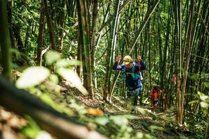 BIB: 
                            <button type="button" onclick="openModal(27924817)" class="btn btn-primary btn-sm float-right btn-popup" data-toggle="modal" data-target=".modal-high-quality">
                        <i class="fas fa-shopping-cart"></i> Add to Cart
                    </button>
                                            <button type="button" onclick="isThisMe(27924817, true)" class="btn btn-success btn-sm float-right btn-popup btn-isme hidden" data-toggle="tooltip" data-placement="bottom" title="นี่คือรูปของคุณใช่ไหม คลิกที่นี่เพื่อเอาเข้าอัลบั้ม">
                        <i class="fas fa-plus"></i> Add to album
                    </button>
                    <button type="button" onclick="isThisMe(27924817, false)" class="btn btn-warning btn-sm float-right btn-popup btn-isnotme hidden">
                        <i class="fas fa-ban"></i> Remove from album
                    </button>