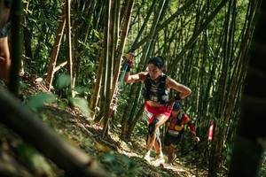 BIB: 
                            <button type="button" onclick="openModal(27922465)" class="btn btn-primary btn-sm float-right btn-popup" data-toggle="modal" data-target=".modal-high-quality">
                        <i class="fas fa-shopping-cart"></i> Add to Cart
                    </button>
                                            <button type="button" onclick="isThisMe(27922465, true)" class="btn btn-success btn-sm float-right btn-popup btn-isme hidden" data-toggle="tooltip" data-placement="bottom" title="นี่คือรูปของคุณใช่ไหม คลิกที่นี่เพื่อเอาเข้าอัลบั้ม">
                        <i class="fas fa-plus"></i> Add to album
                    </button>
                    <button type="button" onclick="isThisMe(27922465, false)" class="btn btn-warning btn-sm float-right btn-popup btn-isnotme hidden">
                        <i class="fas fa-ban"></i> Remove from album
                    </button>