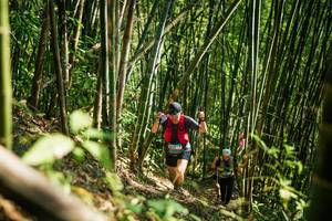 BIB: 
                            <button type="button" onclick="openModal(27925674)" class="btn btn-primary btn-sm float-right btn-popup" data-toggle="modal" data-target=".modal-high-quality">
                        <i class="fas fa-shopping-cart"></i> Add to Cart
                    </button>
                                            <button type="button" onclick="isThisMe(27925674, true)" class="btn btn-success btn-sm float-right btn-popup btn-isme hidden" data-toggle="tooltip" data-placement="bottom" title="นี่คือรูปของคุณใช่ไหม คลิกที่นี่เพื่อเอาเข้าอัลบั้ม">
                        <i class="fas fa-plus"></i> Add to album
                    </button>
                    <button type="button" onclick="isThisMe(27925674, false)" class="btn btn-warning btn-sm float-right btn-popup btn-isnotme hidden">
                        <i class="fas fa-ban"></i> Remove from album
                    </button>