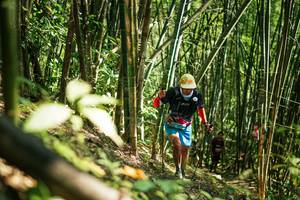 BIB: 
                            <button type="button" onclick="openModal(27924946)" class="btn btn-primary btn-sm float-right btn-popup" data-toggle="modal" data-target=".modal-high-quality">
                        <i class="fas fa-shopping-cart"></i> Add to Cart
                    </button>
                                            <button type="button" onclick="isThisMe(27924946, true)" class="btn btn-success btn-sm float-right btn-popup btn-isme hidden" data-toggle="tooltip" data-placement="bottom" title="นี่คือรูปของคุณใช่ไหม คลิกที่นี่เพื่อเอาเข้าอัลบั้ม">
                        <i class="fas fa-plus"></i> Add to album
                    </button>
                    <button type="button" onclick="isThisMe(27924946, false)" class="btn btn-warning btn-sm float-right btn-popup btn-isnotme hidden">
                        <i class="fas fa-ban"></i> Remove from album
                    </button>