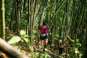 BIB: 
                            <button type="button" onclick="openModal(27925675)" class="btn btn-primary btn-sm float-right btn-popup" data-toggle="modal" data-target=".modal-high-quality">
                        <i class="fas fa-shopping-cart"></i> Add to Cart
                    </button>
                                            <button type="button" onclick="isThisMe(27925675, true)" class="btn btn-success btn-sm float-right btn-popup btn-isme hidden" data-toggle="tooltip" data-placement="bottom" title="นี่คือรูปของคุณใช่ไหม คลิกที่นี่เพื่อเอาเข้าอัลบั้ม">
                        <i class="fas fa-plus"></i> Add to album
                    </button>
                    <button type="button" onclick="isThisMe(27925675, false)" class="btn btn-warning btn-sm float-right btn-popup btn-isnotme hidden">
                        <i class="fas fa-ban"></i> Remove from album
                    </button>