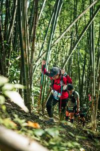 BIB: 
                            <button type="button" onclick="openModal(27925008)" class="btn btn-primary btn-sm float-right btn-popup" data-toggle="modal" data-target=".modal-high-quality">
                        <i class="fas fa-shopping-cart"></i> Add to Cart
                    </button>
                                            <button type="button" onclick="isThisMe(27925008, true)" class="btn btn-success btn-sm float-right btn-popup btn-isme hidden" data-toggle="tooltip" data-placement="bottom" title="นี่คือรูปของคุณใช่ไหม คลิกที่นี่เพื่อเอาเข้าอัลบั้ม">
                        <i class="fas fa-plus"></i> Add to album
                    </button>
                    <button type="button" onclick="isThisMe(27925008, false)" class="btn btn-warning btn-sm float-right btn-popup btn-isnotme hidden">
                        <i class="fas fa-ban"></i> Remove from album
                    </button>