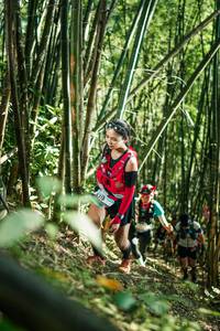 BIB: 
                            <button type="button" onclick="openModal(27924138)" class="btn btn-primary btn-sm float-right btn-popup" data-toggle="modal" data-target=".modal-high-quality">
                        <i class="fas fa-shopping-cart"></i> Add to Cart
                    </button>
                                            <button type="button" onclick="isThisMe(27924138, true)" class="btn btn-success btn-sm float-right btn-popup btn-isme hidden" data-toggle="tooltip" data-placement="bottom" title="นี่คือรูปของคุณใช่ไหม คลิกที่นี่เพื่อเอาเข้าอัลบั้ม">
                        <i class="fas fa-plus"></i> Add to album
                    </button>
                    <button type="button" onclick="isThisMe(27924138, false)" class="btn btn-warning btn-sm float-right btn-popup btn-isnotme hidden">
                        <i class="fas fa-ban"></i> Remove from album
                    </button>