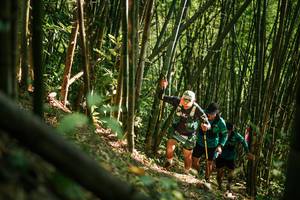 BIB: 
                            <button type="button" onclick="openModal(27922653)" class="btn btn-primary btn-sm float-right btn-popup" data-toggle="modal" data-target=".modal-high-quality">
                        <i class="fas fa-shopping-cart"></i> Add to Cart
                    </button>
                                            <button type="button" onclick="isThisMe(27922653, true)" class="btn btn-success btn-sm float-right btn-popup btn-isme hidden" data-toggle="tooltip" data-placement="bottom" title="นี่คือรูปของคุณใช่ไหม คลิกที่นี่เพื่อเอาเข้าอัลบั้ม">
                        <i class="fas fa-plus"></i> Add to album
                    </button>
                    <button type="button" onclick="isThisMe(27922653, false)" class="btn btn-warning btn-sm float-right btn-popup btn-isnotme hidden">
                        <i class="fas fa-ban"></i> Remove from album
                    </button>