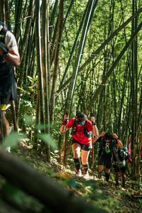 BIB: 
                            <button type="button" onclick="openModal(27923033)" class="btn btn-primary btn-sm float-right btn-popup" data-toggle="modal" data-target=".modal-high-quality">
                        <i class="fas fa-shopping-cart"></i> Add to Cart
                    </button>
                                            <button type="button" onclick="isThisMe(27923033, true)" class="btn btn-success btn-sm float-right btn-popup btn-isme hidden" data-toggle="tooltip" data-placement="bottom" title="นี่คือรูปของคุณใช่ไหม คลิกที่นี่เพื่อเอาเข้าอัลบั้ม">
                        <i class="fas fa-plus"></i> Add to album
                    </button>
                    <button type="button" onclick="isThisMe(27923033, false)" class="btn btn-warning btn-sm float-right btn-popup btn-isnotme hidden">
                        <i class="fas fa-ban"></i> Remove from album
                    </button>