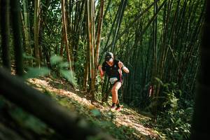 BIB: 
                            <button type="button" onclick="openModal(27921620)" class="btn btn-primary btn-sm float-right btn-popup" data-toggle="modal" data-target=".modal-high-quality">
                        <i class="fas fa-shopping-cart"></i> Add to Cart
                    </button>
                                            <button type="button" onclick="isThisMe(27921620, true)" class="btn btn-success btn-sm float-right btn-popup btn-isme hidden" data-toggle="tooltip" data-placement="bottom" title="นี่คือรูปของคุณใช่ไหม คลิกที่นี่เพื่อเอาเข้าอัลบั้ม">
                        <i class="fas fa-plus"></i> Add to album
                    </button>
                    <button type="button" onclick="isThisMe(27921620, false)" class="btn btn-warning btn-sm float-right btn-popup btn-isnotme hidden">
                        <i class="fas fa-ban"></i> Remove from album
                    </button>