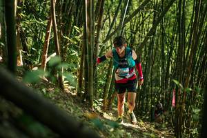 BIB: 
                            <button type="button" onclick="openModal(27922957)" class="btn btn-primary btn-sm float-right btn-popup" data-toggle="modal" data-target=".modal-high-quality">
                        <i class="fas fa-shopping-cart"></i> Add to Cart
                    </button>
                                            <button type="button" onclick="isThisMe(27922957, true)" class="btn btn-success btn-sm float-right btn-popup btn-isme hidden" data-toggle="tooltip" data-placement="bottom" title="นี่คือรูปของคุณใช่ไหม คลิกที่นี่เพื่อเอาเข้าอัลบั้ม">
                        <i class="fas fa-plus"></i> Add to album
                    </button>
                    <button type="button" onclick="isThisMe(27922957, false)" class="btn btn-warning btn-sm float-right btn-popup btn-isnotme hidden">
                        <i class="fas fa-ban"></i> Remove from album
                    </button>