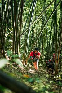 BIB: 
                            <button type="button" onclick="openModal(27924291)" class="btn btn-primary btn-sm float-right btn-popup" data-toggle="modal" data-target=".modal-high-quality">
                        <i class="fas fa-shopping-cart"></i> Add to Cart
                    </button>
                                            <button type="button" onclick="isThisMe(27924291, true)" class="btn btn-success btn-sm float-right btn-popup btn-isme hidden" data-toggle="tooltip" data-placement="bottom" title="นี่คือรูปของคุณใช่ไหม คลิกที่นี่เพื่อเอาเข้าอัลบั้ม">
                        <i class="fas fa-plus"></i> Add to album
                    </button>
                    <button type="button" onclick="isThisMe(27924291, false)" class="btn btn-warning btn-sm float-right btn-popup btn-isnotme hidden">
                        <i class="fas fa-ban"></i> Remove from album
                    </button>