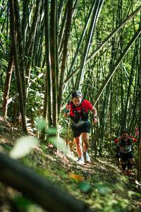 BIB: 
                            <button type="button" onclick="openModal(27924293)" class="btn btn-primary btn-sm float-right btn-popup" data-toggle="modal" data-target=".modal-high-quality">
                        <i class="fas fa-shopping-cart"></i> Add to Cart
                    </button>
                                            <button type="button" onclick="isThisMe(27924293, true)" class="btn btn-success btn-sm float-right btn-popup btn-isme hidden" data-toggle="tooltip" data-placement="bottom" title="นี่คือรูปของคุณใช่ไหม คลิกที่นี่เพื่อเอาเข้าอัลบั้ม">
                        <i class="fas fa-plus"></i> Add to album
                    </button>
                    <button type="button" onclick="isThisMe(27924293, false)" class="btn btn-warning btn-sm float-right btn-popup btn-isnotme hidden">
                        <i class="fas fa-ban"></i> Remove from album
                    </button>