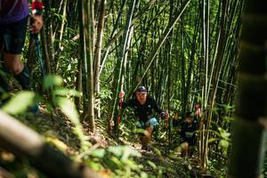 BIB: 
                            <button type="button" onclick="openModal(27925400)" class="btn btn-primary btn-sm float-right btn-popup" data-toggle="modal" data-target=".modal-high-quality">
                        <i class="fas fa-shopping-cart"></i> Add to Cart
                    </button>
                                            <button type="button" onclick="isThisMe(27925400, true)" class="btn btn-success btn-sm float-right btn-popup btn-isme hidden" data-toggle="tooltip" data-placement="bottom" title="นี่คือรูปของคุณใช่ไหม คลิกที่นี่เพื่อเอาเข้าอัลบั้ม">
                        <i class="fas fa-plus"></i> Add to album
                    </button>
                    <button type="button" onclick="isThisMe(27925400, false)" class="btn btn-warning btn-sm float-right btn-popup btn-isnotme hidden">
                        <i class="fas fa-ban"></i> Remove from album
                    </button>