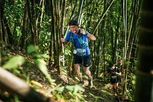 BIB: 
                            <button type="button" onclick="openModal(27925497)" class="btn btn-primary btn-sm float-right btn-popup" data-toggle="modal" data-target=".modal-high-quality">
                        <i class="fas fa-shopping-cart"></i> Add to Cart
                    </button>
                                            <button type="button" onclick="isThisMe(27925497, true)" class="btn btn-success btn-sm float-right btn-popup btn-isme hidden" data-toggle="tooltip" data-placement="bottom" title="นี่คือรูปของคุณใช่ไหม คลิกที่นี่เพื่อเอาเข้าอัลบั้ม">
                        <i class="fas fa-plus"></i> Add to album
                    </button>
                    <button type="button" onclick="isThisMe(27925497, false)" class="btn btn-warning btn-sm float-right btn-popup btn-isnotme hidden">
                        <i class="fas fa-ban"></i> Remove from album
                    </button>