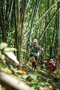 BIB: 
                            <button type="button" onclick="openModal(27925043)" class="btn btn-primary btn-sm float-right btn-popup" data-toggle="modal" data-target=".modal-high-quality">
                        <i class="fas fa-shopping-cart"></i> Add to Cart
                    </button>
                                            <button type="button" onclick="isThisMe(27925043, true)" class="btn btn-success btn-sm float-right btn-popup btn-isme hidden" data-toggle="tooltip" data-placement="bottom" title="นี่คือรูปของคุณใช่ไหม คลิกที่นี่เพื่อเอาเข้าอัลบั้ม">
                        <i class="fas fa-plus"></i> Add to album
                    </button>
                    <button type="button" onclick="isThisMe(27925043, false)" class="btn btn-warning btn-sm float-right btn-popup btn-isnotme hidden">
                        <i class="fas fa-ban"></i> Remove from album
                    </button>