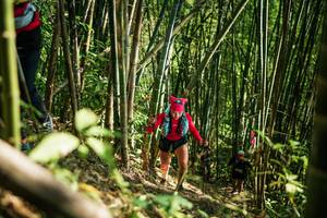 BIB: 
                            <button type="button" onclick="openModal(27925709)" class="btn btn-primary btn-sm float-right btn-popup" data-toggle="modal" data-target=".modal-high-quality">
                        <i class="fas fa-shopping-cart"></i> Add to Cart
                    </button>
                                            <button type="button" onclick="isThisMe(27925709, true)" class="btn btn-success btn-sm float-right btn-popup btn-isme hidden" data-toggle="tooltip" data-placement="bottom" title="นี่คือรูปของคุณใช่ไหม คลิกที่นี่เพื่อเอาเข้าอัลบั้ม">
                        <i class="fas fa-plus"></i> Add to album
                    </button>
                    <button type="button" onclick="isThisMe(27925709, false)" class="btn btn-warning btn-sm float-right btn-popup btn-isnotme hidden">
                        <i class="fas fa-ban"></i> Remove from album
                    </button>