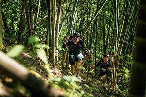 BIB: 
                            <button type="button" onclick="openModal(27925408)" class="btn btn-primary btn-sm float-right btn-popup" data-toggle="modal" data-target=".modal-high-quality">
                        <i class="fas fa-shopping-cart"></i> Add to Cart
                    </button>
                                            <button type="button" onclick="isThisMe(27925408, true)" class="btn btn-success btn-sm float-right btn-popup btn-isme hidden" data-toggle="tooltip" data-placement="bottom" title="นี่คือรูปของคุณใช่ไหม คลิกที่นี่เพื่อเอาเข้าอัลบั้ม">
                        <i class="fas fa-plus"></i> Add to album
                    </button>
                    <button type="button" onclick="isThisMe(27925408, false)" class="btn btn-warning btn-sm float-right btn-popup btn-isnotme hidden">
                        <i class="fas fa-ban"></i> Remove from album
                    </button>