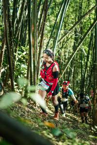 BIB: 
                            <button type="button" onclick="openModal(27924139)" class="btn btn-primary btn-sm float-right btn-popup" data-toggle="modal" data-target=".modal-high-quality">
                        <i class="fas fa-shopping-cart"></i> Add to Cart
                    </button>
                                            <button type="button" onclick="isThisMe(27924139, true)" class="btn btn-success btn-sm float-right btn-popup btn-isme hidden" data-toggle="tooltip" data-placement="bottom" title="นี่คือรูปของคุณใช่ไหม คลิกที่นี่เพื่อเอาเข้าอัลบั้ม">
                        <i class="fas fa-plus"></i> Add to album
                    </button>
                    <button type="button" onclick="isThisMe(27924139, false)" class="btn btn-warning btn-sm float-right btn-popup btn-isnotme hidden">
                        <i class="fas fa-ban"></i> Remove from album
                    </button>