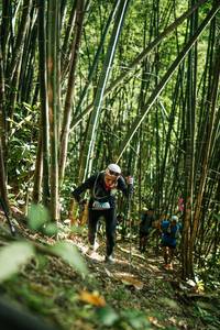 BIB: 
                            <button type="button" onclick="openModal(27923973)" class="btn btn-primary btn-sm float-right btn-popup" data-toggle="modal" data-target=".modal-high-quality">
                        <i class="fas fa-shopping-cart"></i> Add to Cart
                    </button>
                                            <button type="button" onclick="isThisMe(27923973, true)" class="btn btn-success btn-sm float-right btn-popup btn-isme hidden" data-toggle="tooltip" data-placement="bottom" title="นี่คือรูปของคุณใช่ไหม คลิกที่นี่เพื่อเอาเข้าอัลบั้ม">
                        <i class="fas fa-plus"></i> Add to album
                    </button>
                    <button type="button" onclick="isThisMe(27923973, false)" class="btn btn-warning btn-sm float-right btn-popup btn-isnotme hidden">
                        <i class="fas fa-ban"></i> Remove from album
                    </button>