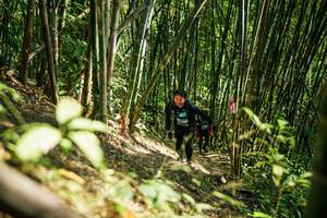 BIB: 
                            <button type="button" onclick="openModal(27925851)" class="btn btn-primary btn-sm float-right btn-popup" data-toggle="modal" data-target=".modal-high-quality">
                        <i class="fas fa-shopping-cart"></i> Add to Cart
                    </button>
                                            <button type="button" onclick="isThisMe(27925851, true)" class="btn btn-success btn-sm float-right btn-popup btn-isme hidden" data-toggle="tooltip" data-placement="bottom" title="นี่คือรูปของคุณใช่ไหม คลิกที่นี่เพื่อเอาเข้าอัลบั้ม">
                        <i class="fas fa-plus"></i> Add to album
                    </button>
                    <button type="button" onclick="isThisMe(27925851, false)" class="btn btn-warning btn-sm float-right btn-popup btn-isnotme hidden">
                        <i class="fas fa-ban"></i> Remove from album
                    </button>