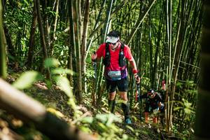 BIB: 
                            <button type="button" onclick="openModal(27925393)" class="btn btn-primary btn-sm float-right btn-popup" data-toggle="modal" data-target=".modal-high-quality">
                        <i class="fas fa-shopping-cart"></i> Add to Cart
                    </button>
                                            <button type="button" onclick="isThisMe(27925393, true)" class="btn btn-success btn-sm float-right btn-popup btn-isme hidden" data-toggle="tooltip" data-placement="bottom" title="นี่คือรูปของคุณใช่ไหม คลิกที่นี่เพื่อเอาเข้าอัลบั้ม">
                        <i class="fas fa-plus"></i> Add to album
                    </button>
                    <button type="button" onclick="isThisMe(27925393, false)" class="btn btn-warning btn-sm float-right btn-popup btn-isnotme hidden">
                        <i class="fas fa-ban"></i> Remove from album
                    </button>